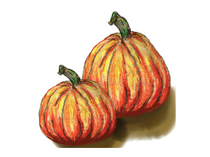 two-drawn-pumpkins-300b